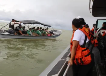 Codechocó inició operativos de control y vigilancia en alta mar durante la temporada de ballenas en el pacífico chocoano