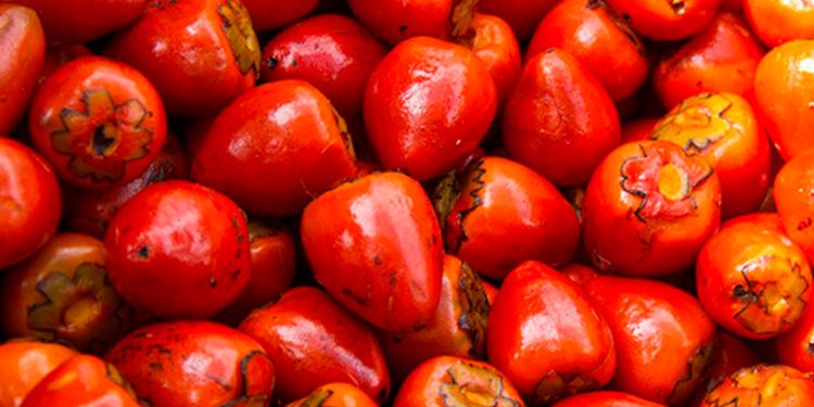 ¿Te gusta el chontaduro? Este domingo se celebra el día de este manjar.