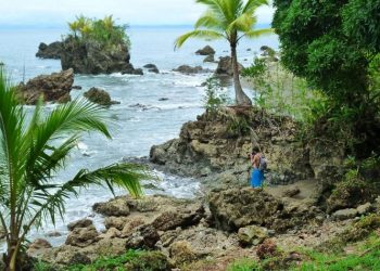 La Bayka, un espacio que combina los sabores de selva y mar en Nuquí.